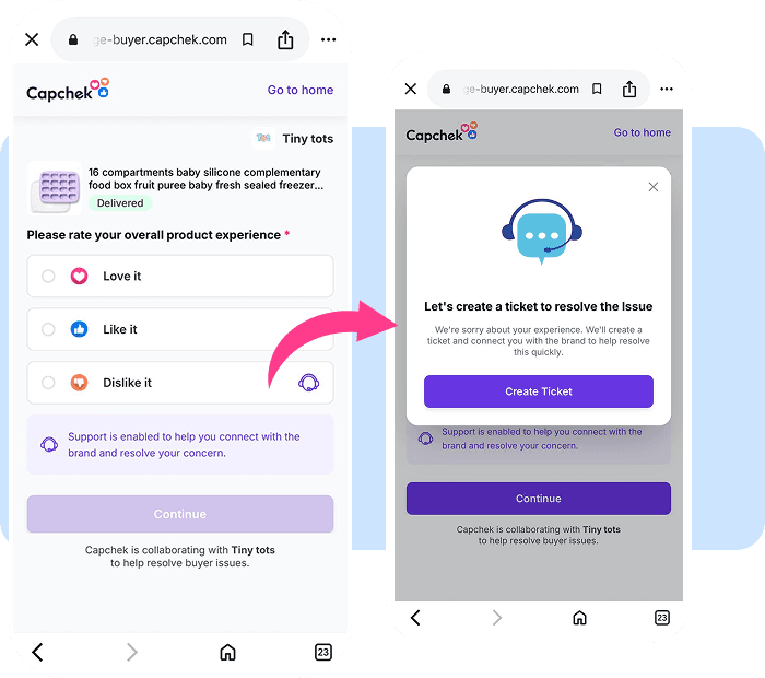 Capchek experience support interface